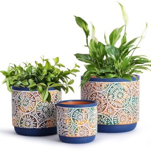 DeeCoo 3-Piece Ceramic Indoor Plant Pot Set with Drainage Holes – Sizes: 5.7″, 4.7″, and three.5″ – Trendy Blue Pots for Out of doors Vegetation like Lilies, Cacti, Succulents, Snake…