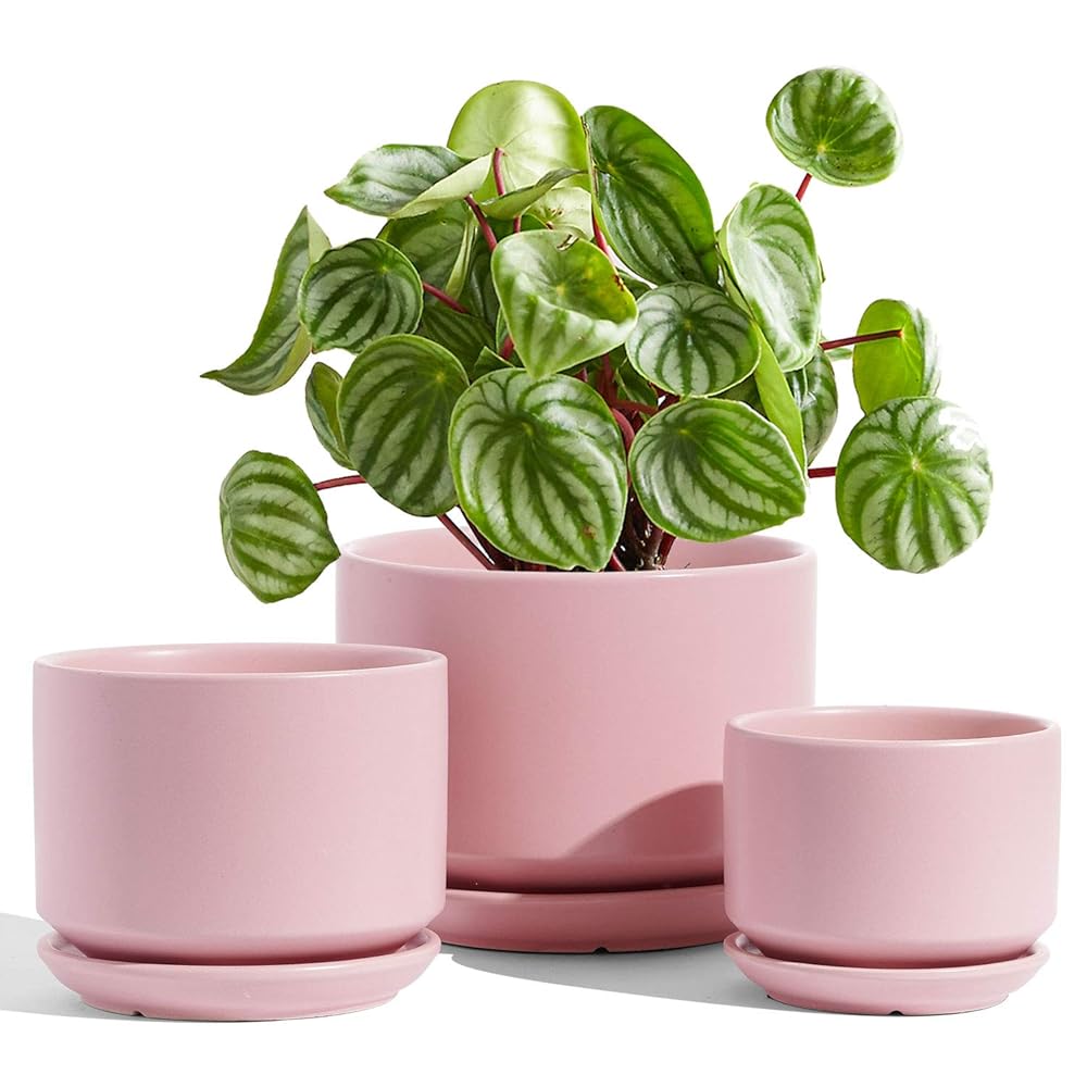 LE TAUCI Ceramic Plant Pots Set – 3 Sizes (4.3″, 5.3″, 6.8″), Contains Drainage Gap and Saucer, Indoor Flower Pots with Gap Mesh Pad, Excellent Presents for Mother, Pink