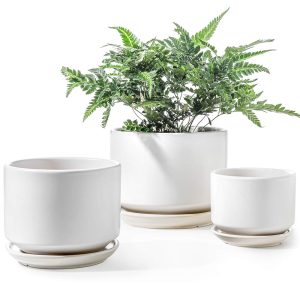 LE TAUCI Ceramic Plant Pots – Set of three (4.3″, 5.3″, 6.8″) with Drainage Gap and Saucer, Indoor Flower Pots with Mesh Pad, Good Reward for Mother, White