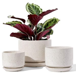 LE TAUCI Set of three Ceramic Plant Pots – Sizes 4.3″, 5.3″, and 6.8″, That includes Drainage Holes and Saucers, Indoor Flower Pots with Mesh Pads, Supreme Items for Mother, Beige Reactive…