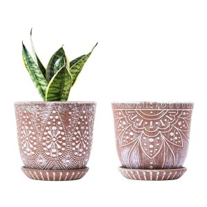 Set of two Gepege 6-Inch Beaded Ceramic Planters with Drainage Gap and Saucer for Indoor and Out of doors Use – Preferrred for Succulents and Orchids