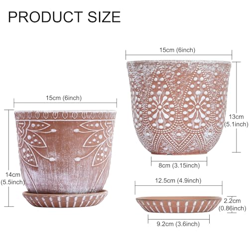 Set of two Gepege 6-Inch Beaded Ceramic Planters with Drainage Gap and Saucer for Indoor and Out of doors Use – Preferrred for Succulents and Orchids