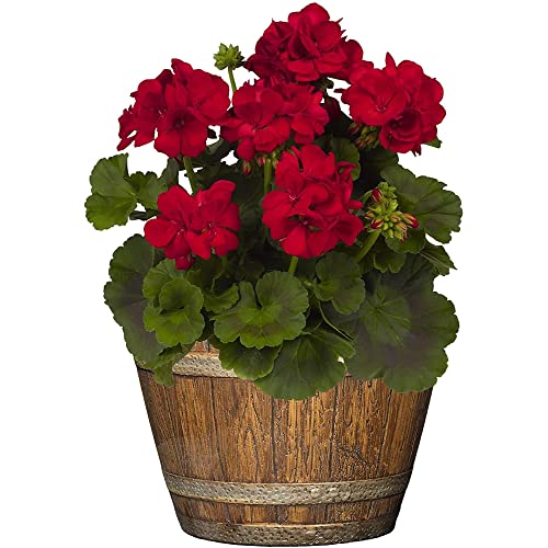 Traditional Dwelling and Backyard 9-Inch Spherical Whiskey Resin Flower Pot Barrel Planter in Oak Brown for Indoor/Outside Use